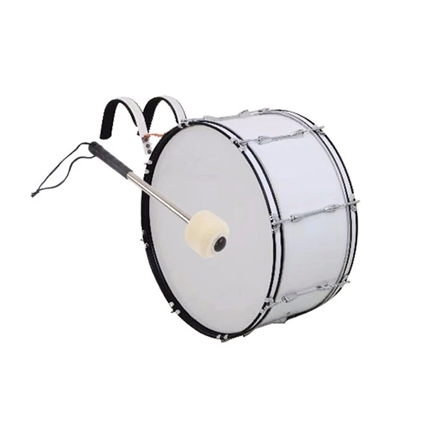 bo trong drum